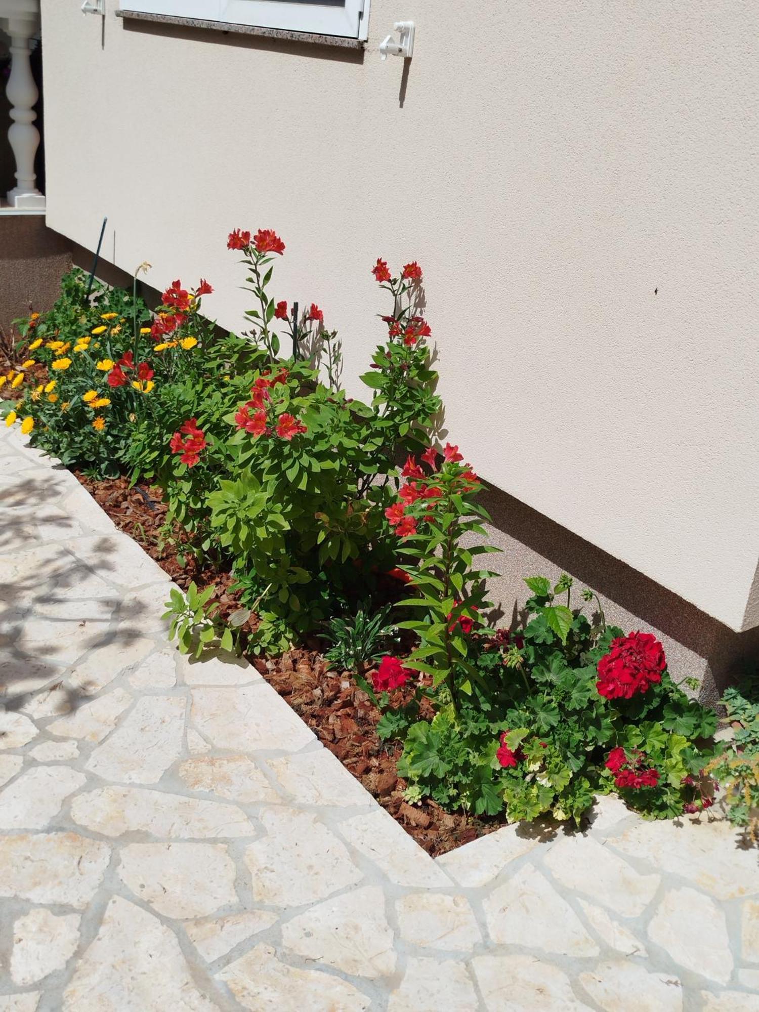 Apartments Juric Privlaka  Bagian luar foto